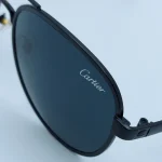 عینک آفتابی  مدل 125 T650488 - تصویر 10