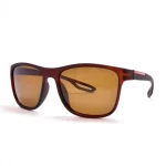 عینک آفتابی مدل PRD-MATTE-P55043 - تصویر 3